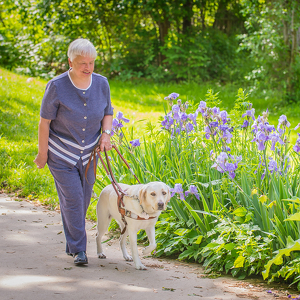 Team Page: Team Lucy